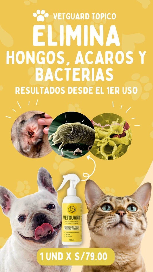 Vetguard Topico | Elimina Acaros, hongos y bacterias